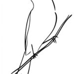 Dibujo de un canario