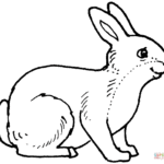 Conejo para pintar de forma libre