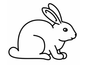 Conejo para pintar