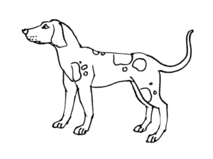 Dibujo de un perro
