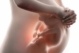los síntomas primarios correspondientes a los primeros meses de un embarazo