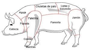 El cerdo es utilizado para la venta de carne 